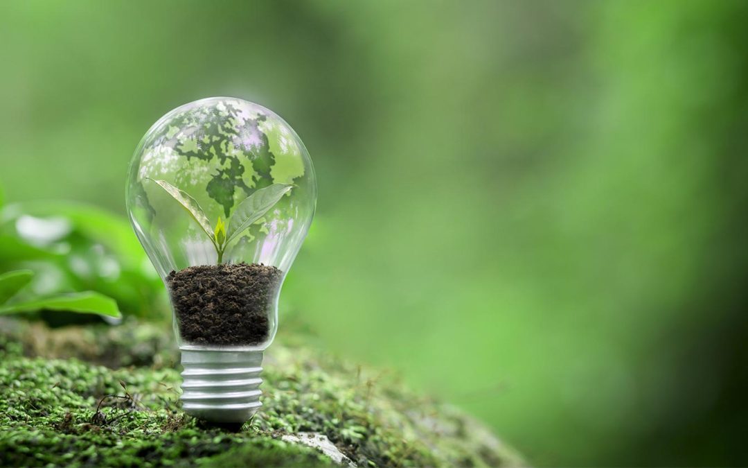 Logistique éthique : 5 raisons de choisir un partenaire certifié cosmecert pour vos cosmétiques