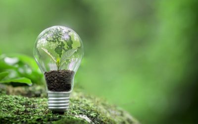 Logistique éthique : 5 raisons de choisir un partenaire certifié cosmecert pour vos cosmétiques