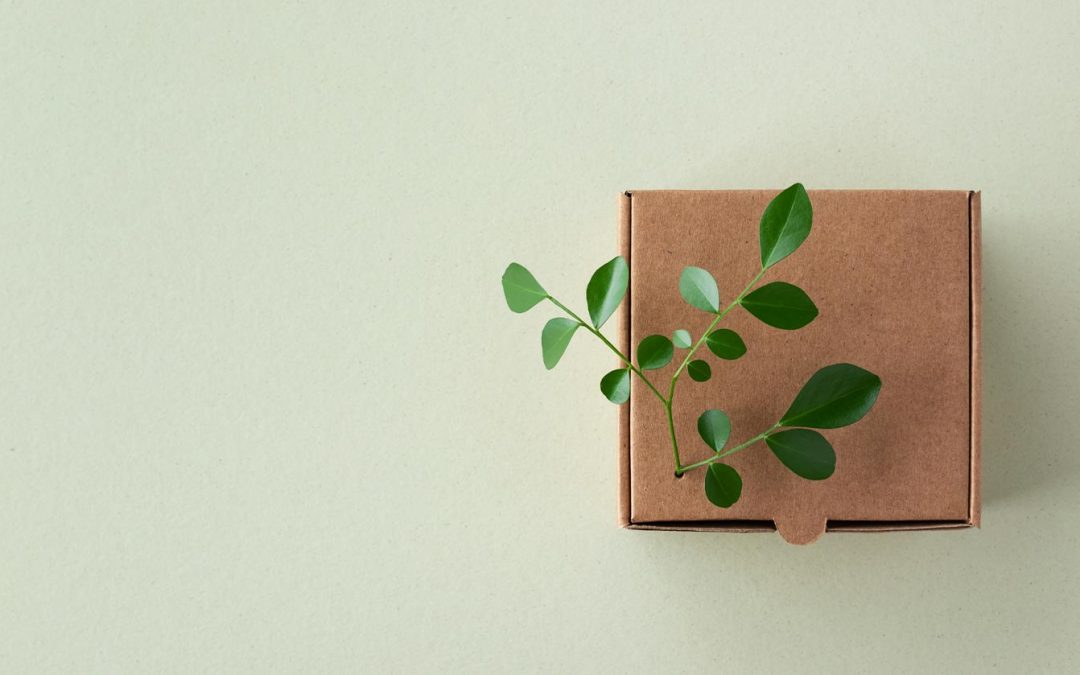 Pourquoi intégrer un label cosmecert en logistique beauté pour une supply chain durable ?